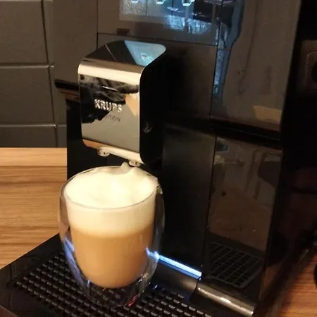 Heidebiene 비첸도프