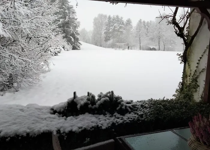 Heidebiene 아파트 *