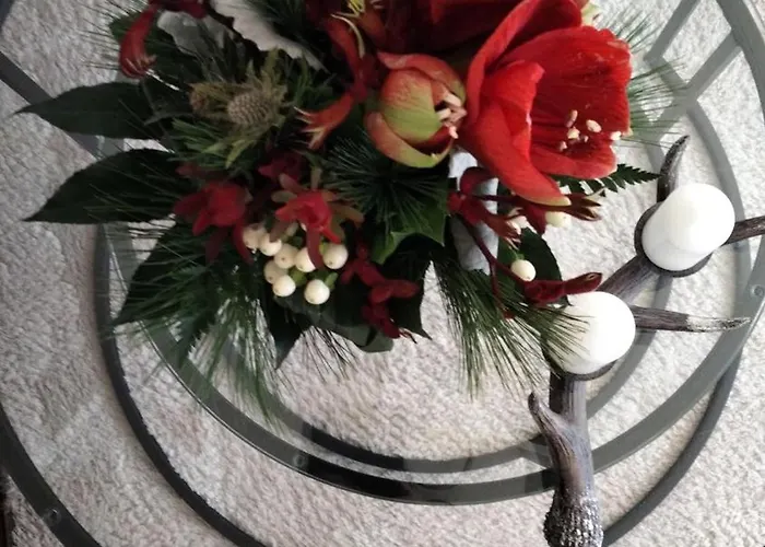 Heidebiene 아파트 비첸도프