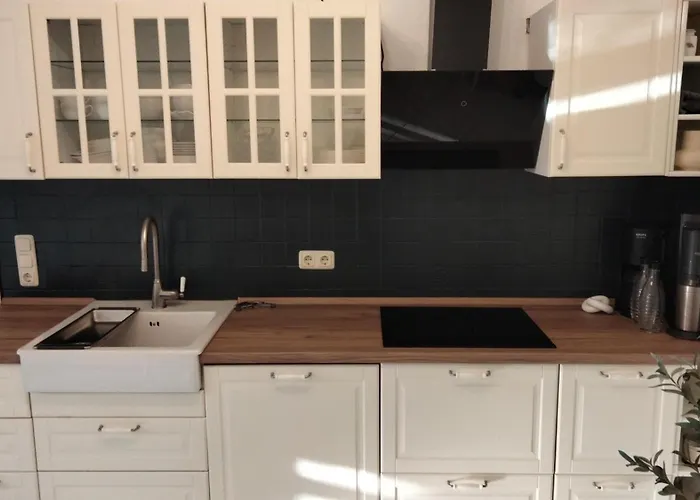 Heidebiene 비첸도프