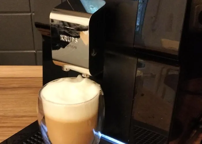 Heidebiene 비첸도프